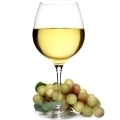 bílé víno
