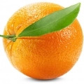 портокалова кора