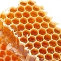 včelí vosk