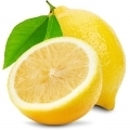 Marocký citron