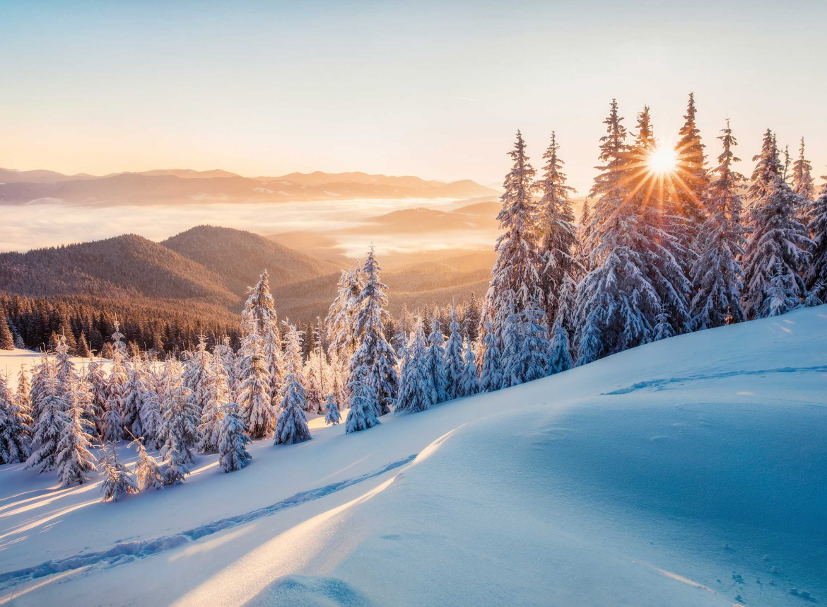 Парфюмен хороскоп: 19 януари - 25 януари