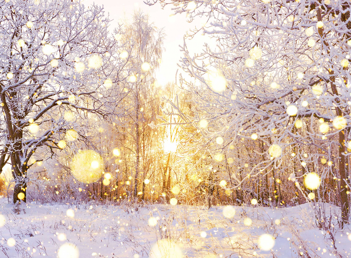 Парфюмен хороскоп: 24 януари - 1 февруари